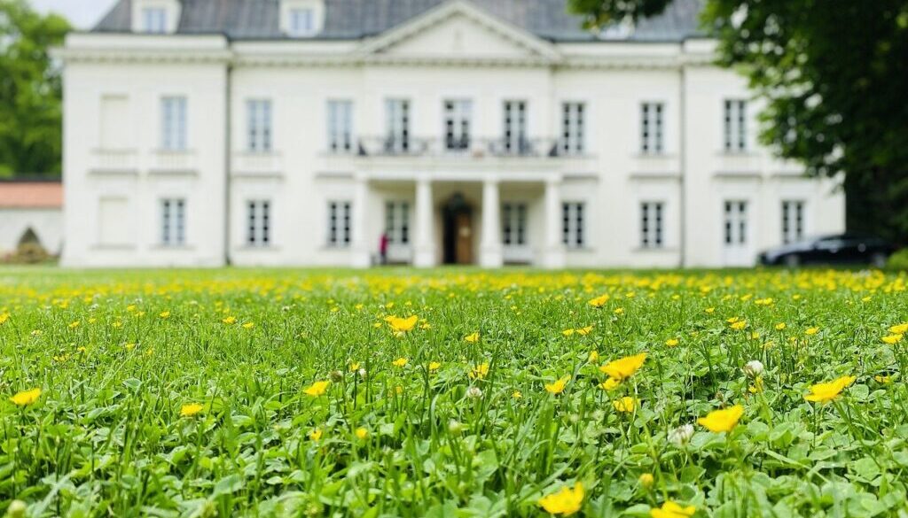 flowers manor summer mazowsze 7990350