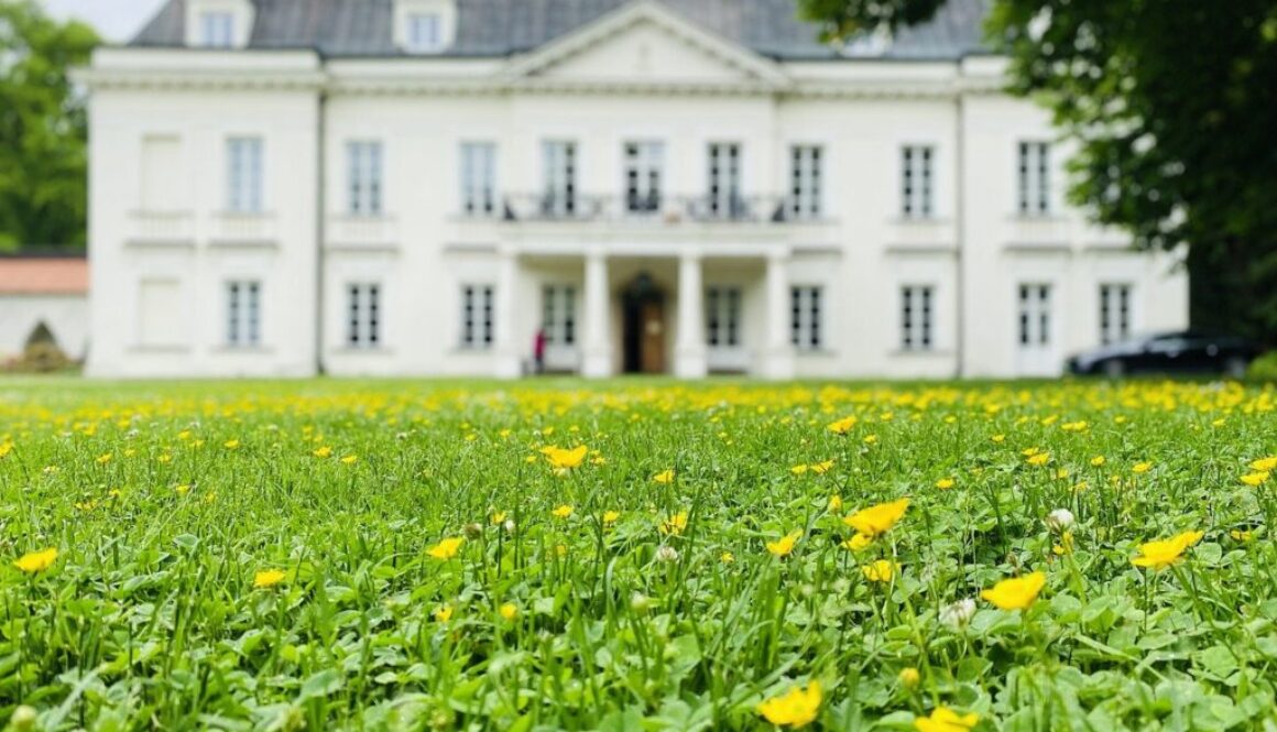 flowers manor summer mazowsze 7990350