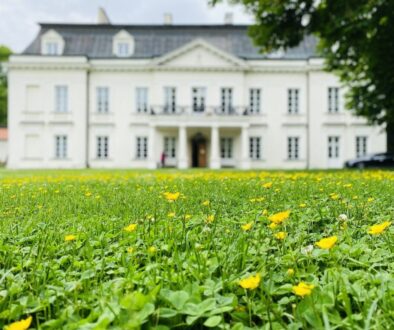 flowers manor summer mazowsze 7990350