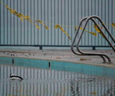 Gdzie na basen w Płocku - przegląd pływalni krytych