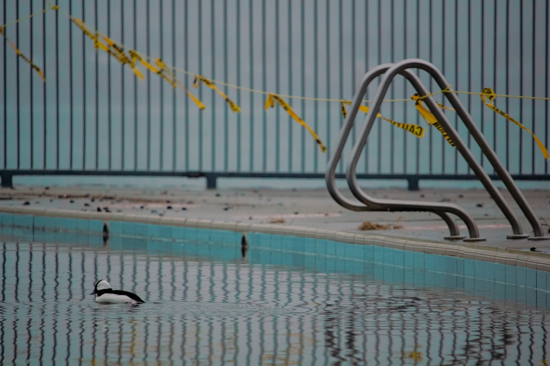 Gdzie na basen w Płocku - przegląd pływalni krytych