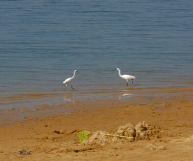 Gdzie na plażę w Mazowieckim Parku Krajobrazowym