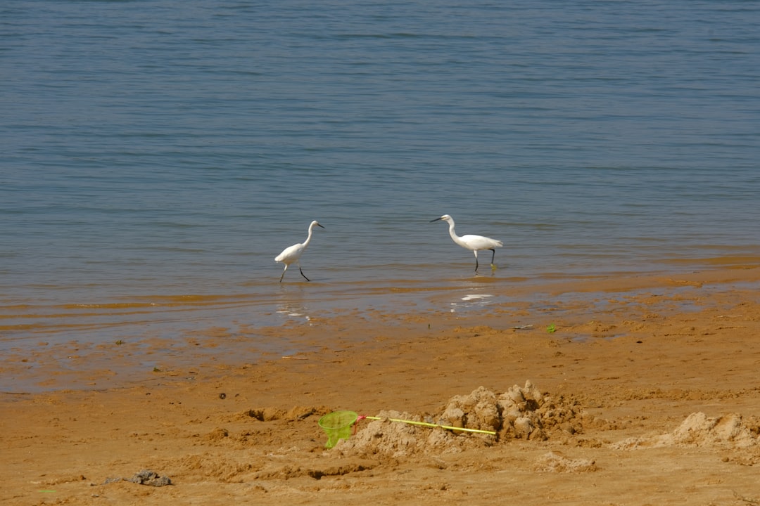 Gdzie na plażę w Mazowieckim Parku Krajobrazowym