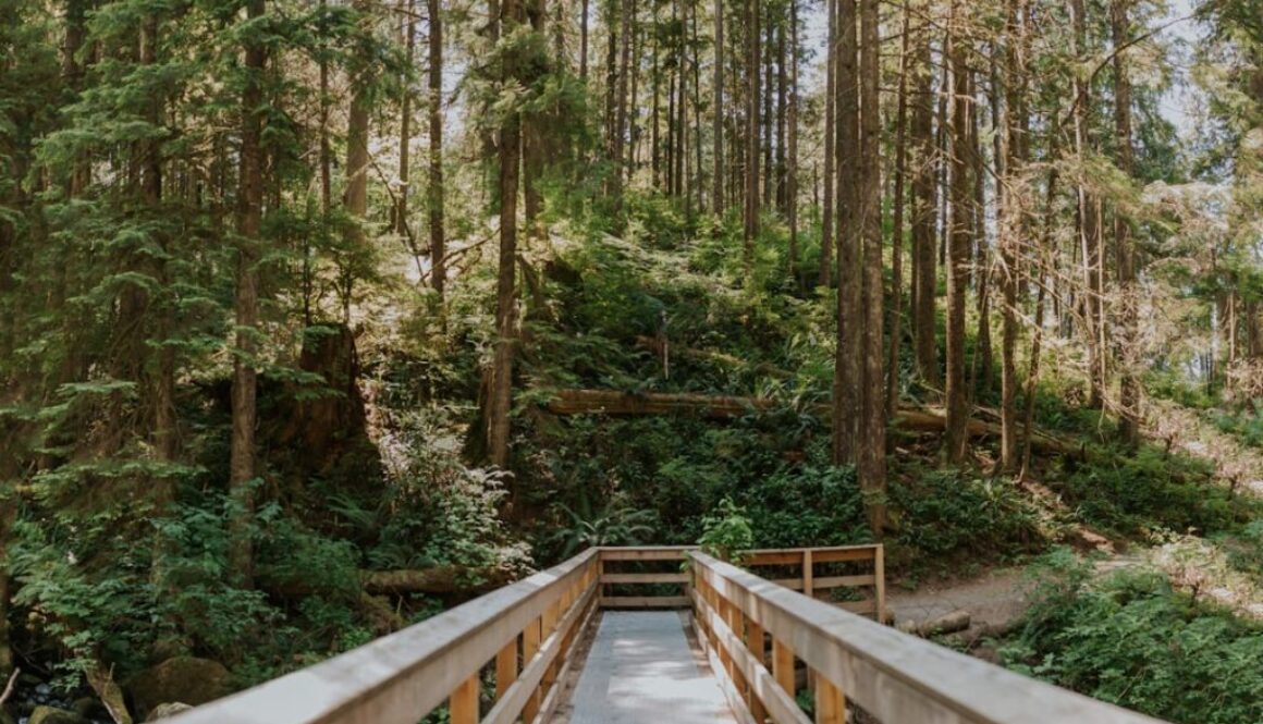 Szlaki turystyczne w Mazowieckim Parku Krajobrazowym - odkryj piękno natury