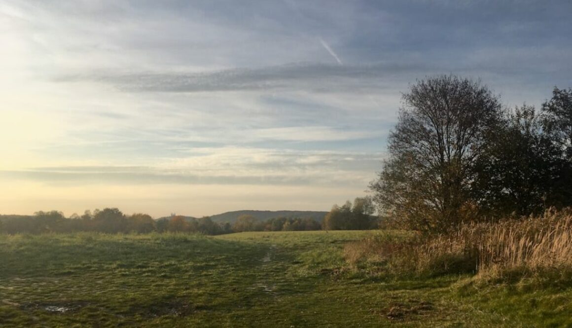 Ciekawostki o Mazowszu - czego nie wiesz o tym regionie