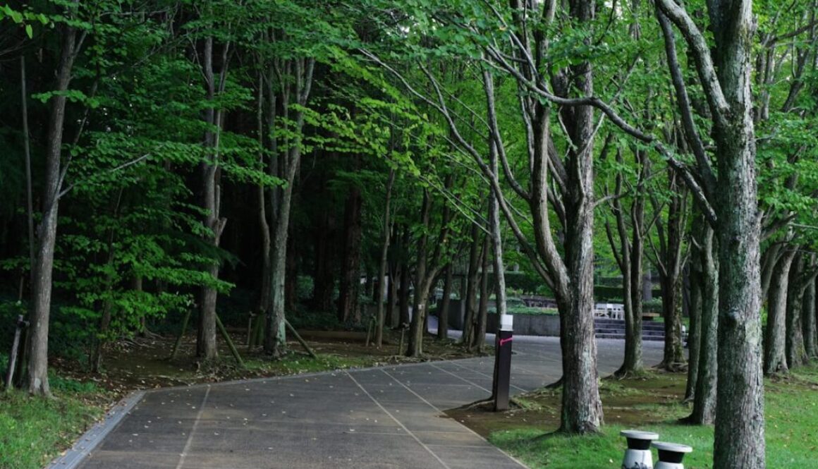 Parki linowe w Warszawie - adrenalina i zabawa dla każdego