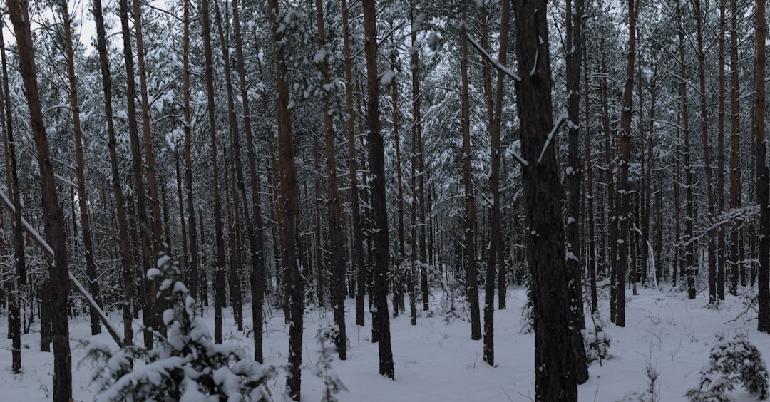Odkryj Puszczę Kampinoską - co warto wiedzieć przed wyprawą
