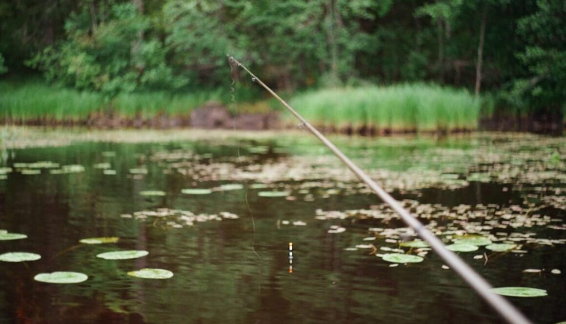 Wędkarstwo na Mazowszu - gdzie najlepiej łowić w 2025